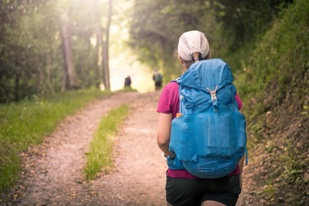 Rutas del camino de Santiago